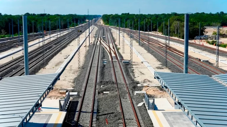 Tren Maya Cumple con las Medidas de Mitigación Ambiental | Mayan Train Complies with Environmental Mitigation Measures